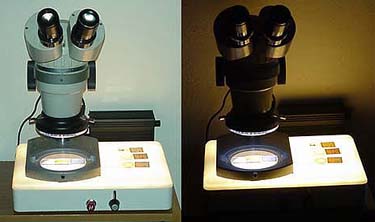 Lo Stereo microscopio nelle due modalit