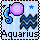 Aquarius - January 20 - February 17 