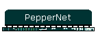 PepperNet